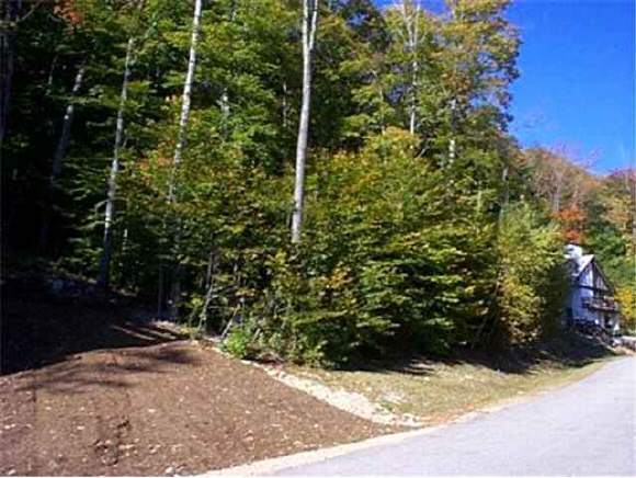88 Westview Road Lincoln, NH 03251 - Photo 1 of 1