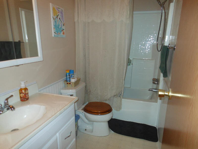442 North Elevator Road Linwood, MI 48634 - Photo 10 of 13