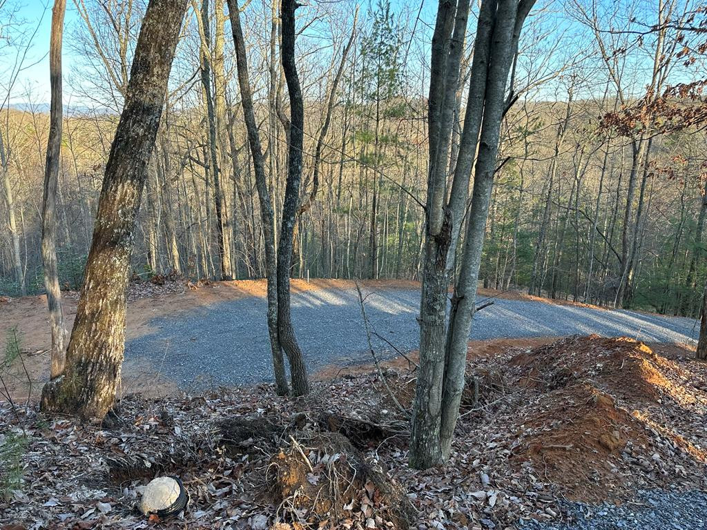 Lot 11 Elisi Vly Road Murphy, NC 28906 - Photo 1 of 9 Main View