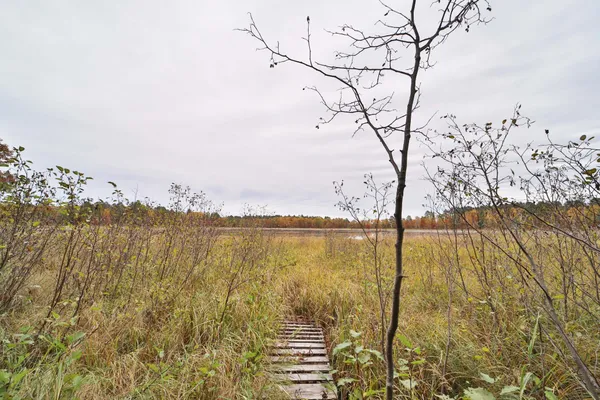 $74,000 | 1022 Rock Elm Trail Northwest, Pine River, MN 56474
