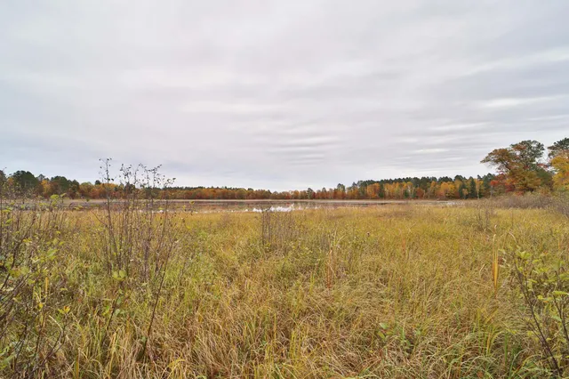 $74,000 | 1022 Rock Elm Trail Northwest, Pine River, MN 56474