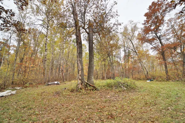 $74,000 | 1022 Rock Elm Trail Northwest, Pine River, MN 56474