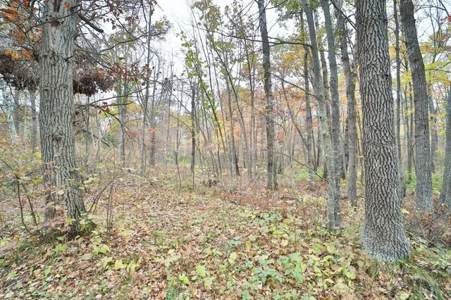 $74,000 | 1022 Rock Elm Trail Northwest, Pine River, MN 56474