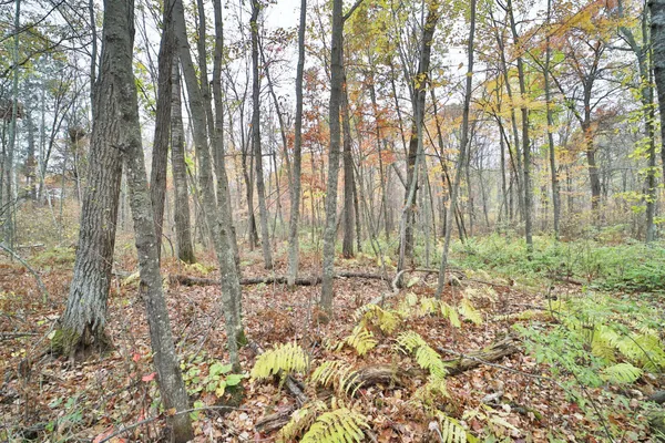 $74,000 | 1022 Rock Elm Trail Northwest, Pine River, MN 56474