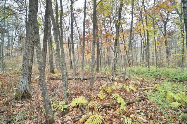 $74,000 | 1022 Rock Elm Trail Northwest, Pine River, MN 56474