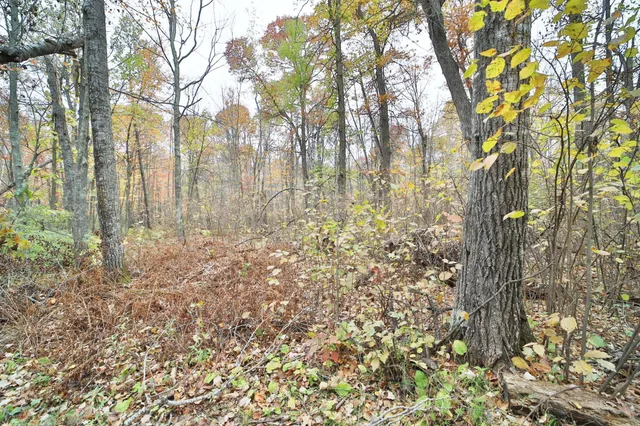 $74,000 | 1022 Rock Elm Trail Northwest, Pine River, MN 56474