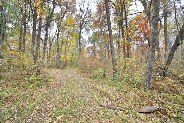 $74,000 | 1022 Rock Elm Trail Northwest, Pine River, MN 56474