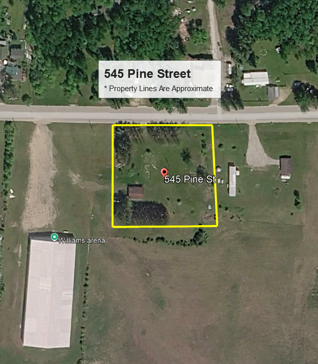 545 Pine Street Williams, MN 56686 - Photo 4 of 10