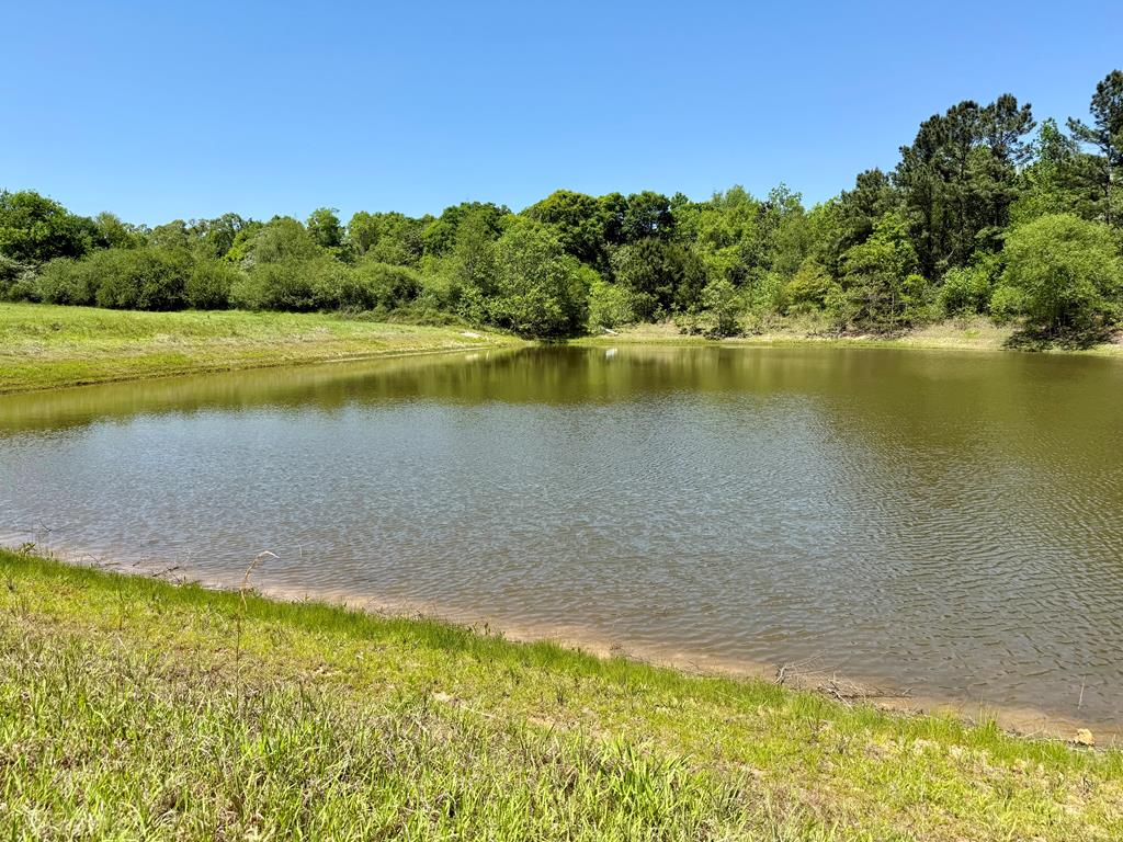 12.37-acres Huskey Road Dothan, AL 36303 - Photo 1 of 16