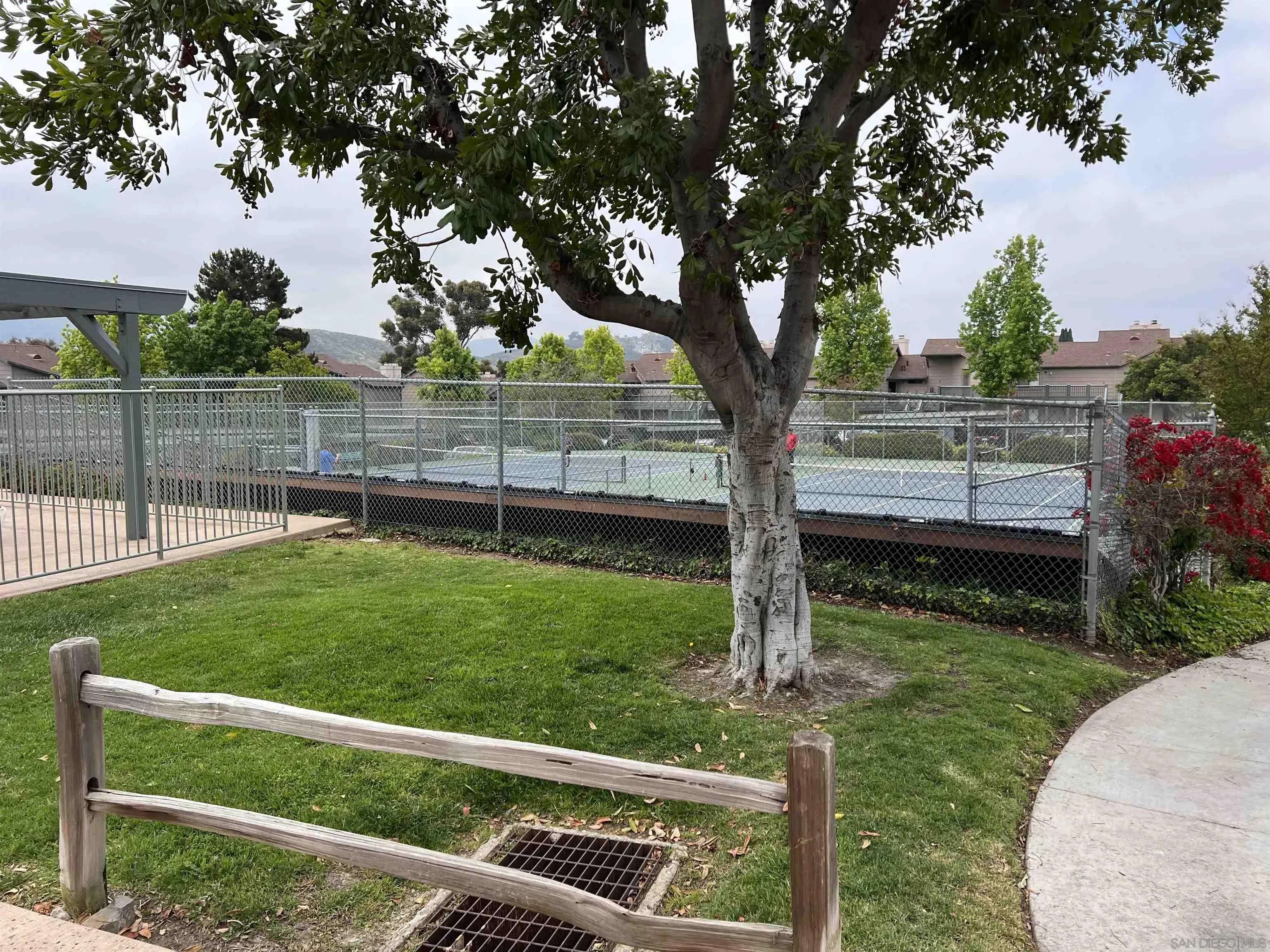 3043 Chipwood Court Spring Valley, CA 91978 - Photo 36 of 38 a view of backyard with wooden fence and a large tree