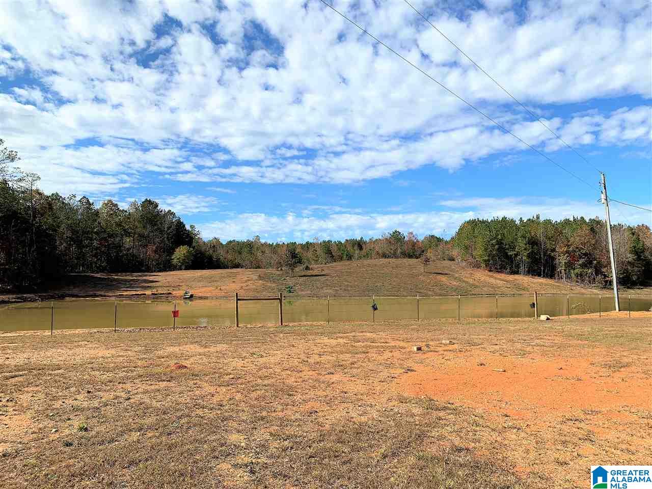 345 County Road 247 Fruithurst, AL 36262 - Photo 8 of 26
