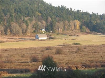 6129 Edens Road Guemes Island, WA 98221 - Photo 1 of 1 Gallery Image 1