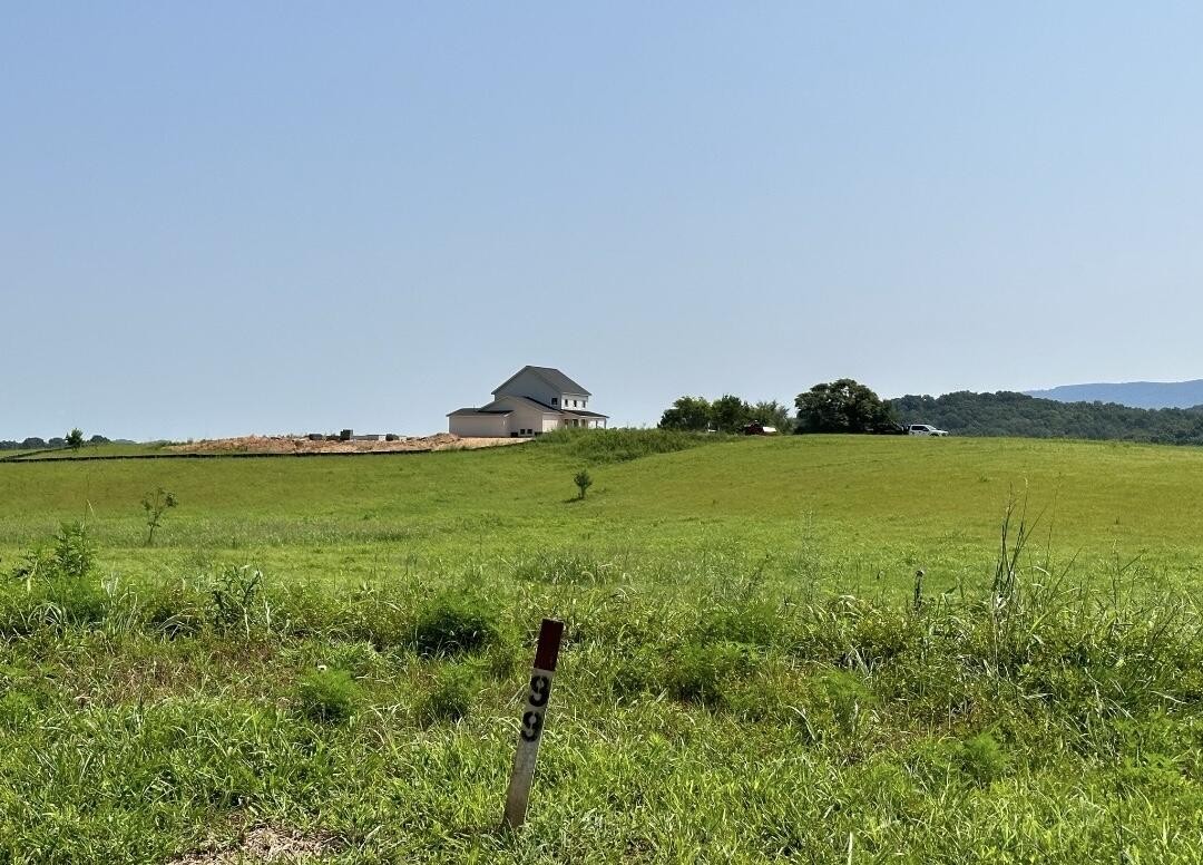 99 River Ridge Dunlap, TN 37327 - Photo 4 of 9 Gallery Image 4