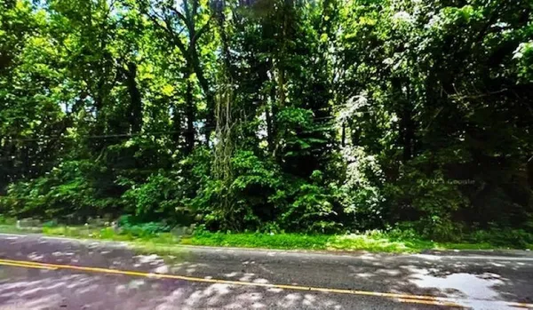 a view of outdoor space and trees