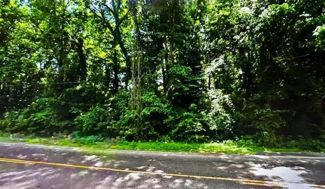 a view of outdoor space and trees