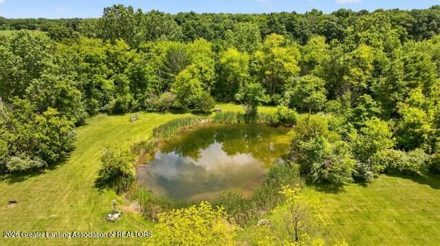 3719 South Williams Road Stockbridge, MI 49285 - Photo 35 of 47 Aerial pond