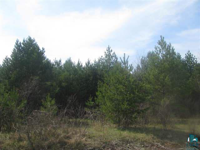 68942 County Rd C High Bridge, WI 54846 - Photo 5 of 5