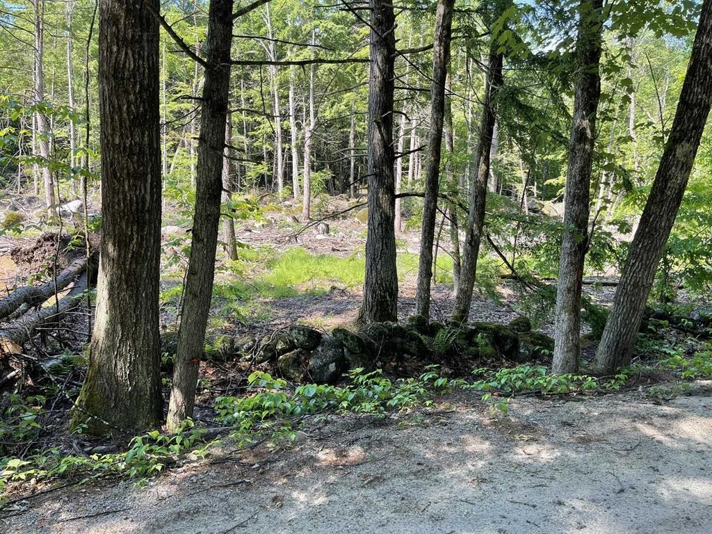 0 Beard Road Hillsborough, NH 03244 - Photo 2 of 4