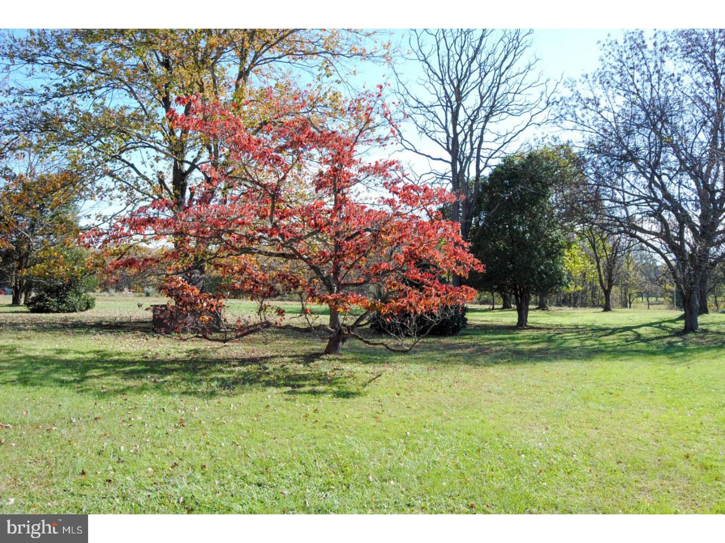 6028 Stovers Mill Road Doylestown, PA 18902 - Photo 20 of 25 Gallery Image 20