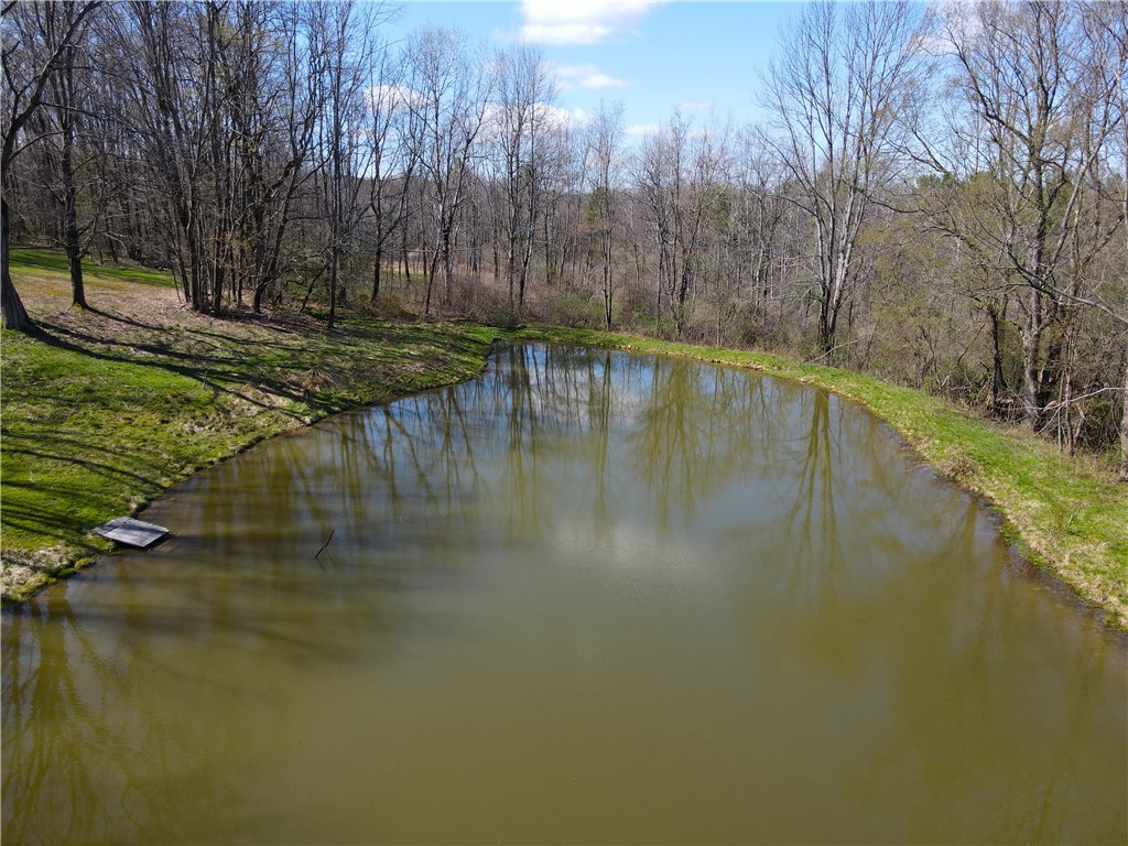 2856 Zimmer Road Scio, NY 14880 - Photo 22 of 50