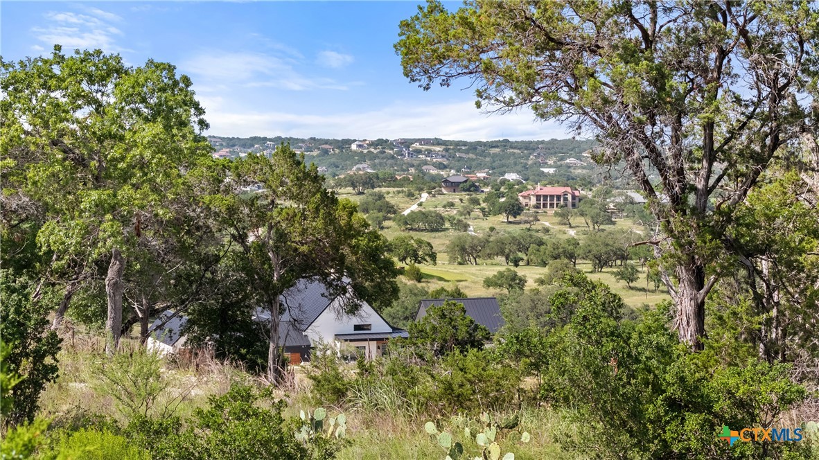 110 Enigma Avenue Spring Branch, TX 78070 - Photo 2 of 21