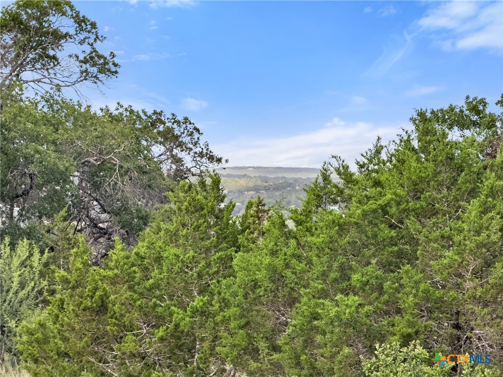 110 Enigma Avenue Spring Branch, TX 78070 - Photo 3 of 21