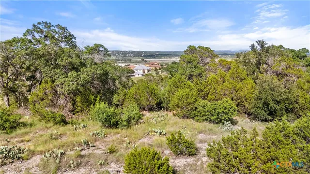 $119,000 | 110 Enigma Avenue, Spring Branch, TX 78070