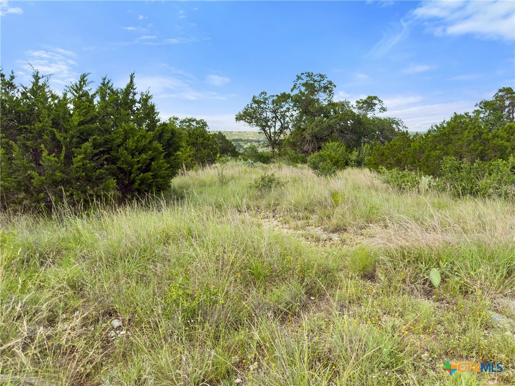 110 Enigma Avenue Spring Branch, TX 78070 - Photo 5 of 21