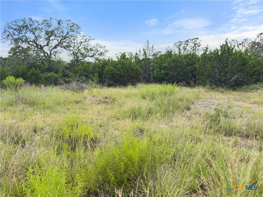 110 Enigma Avenue Spring Branch, TX 78070 - Photo 6 of 21