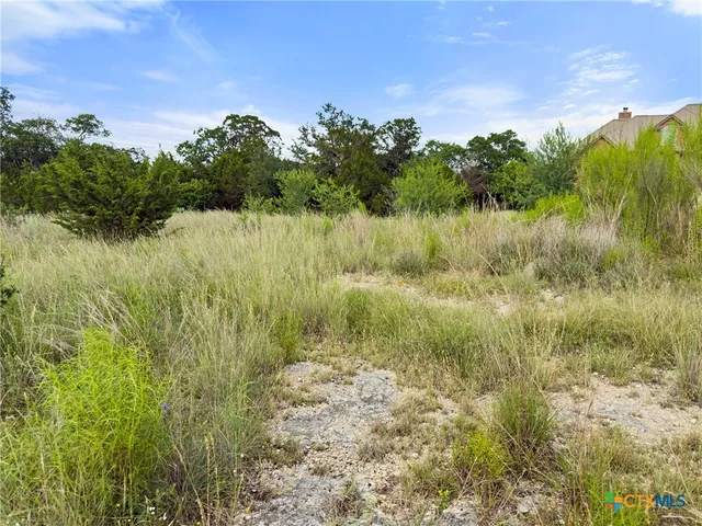 $119,000 | 110 Enigma Avenue, Spring Branch, TX 78070