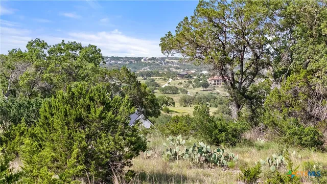 $119,000 | 110 Enigma Avenue, Spring Branch, TX 78070