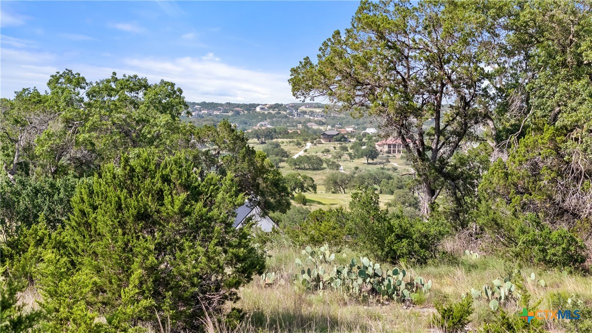 110 Enigma Avenue Spring Branch, TX 78070 - Photo 9 of 21