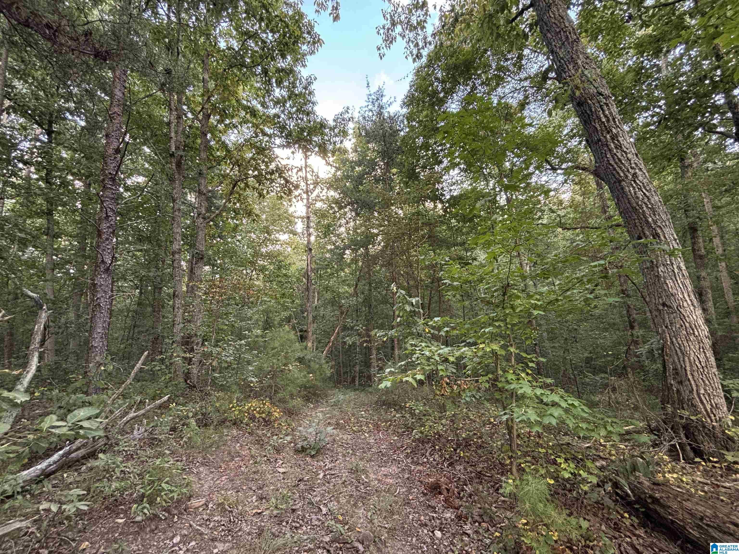 1849 Baker Road Ashville, AL 35953 - Photo 70 of 72 Gallery Image 70