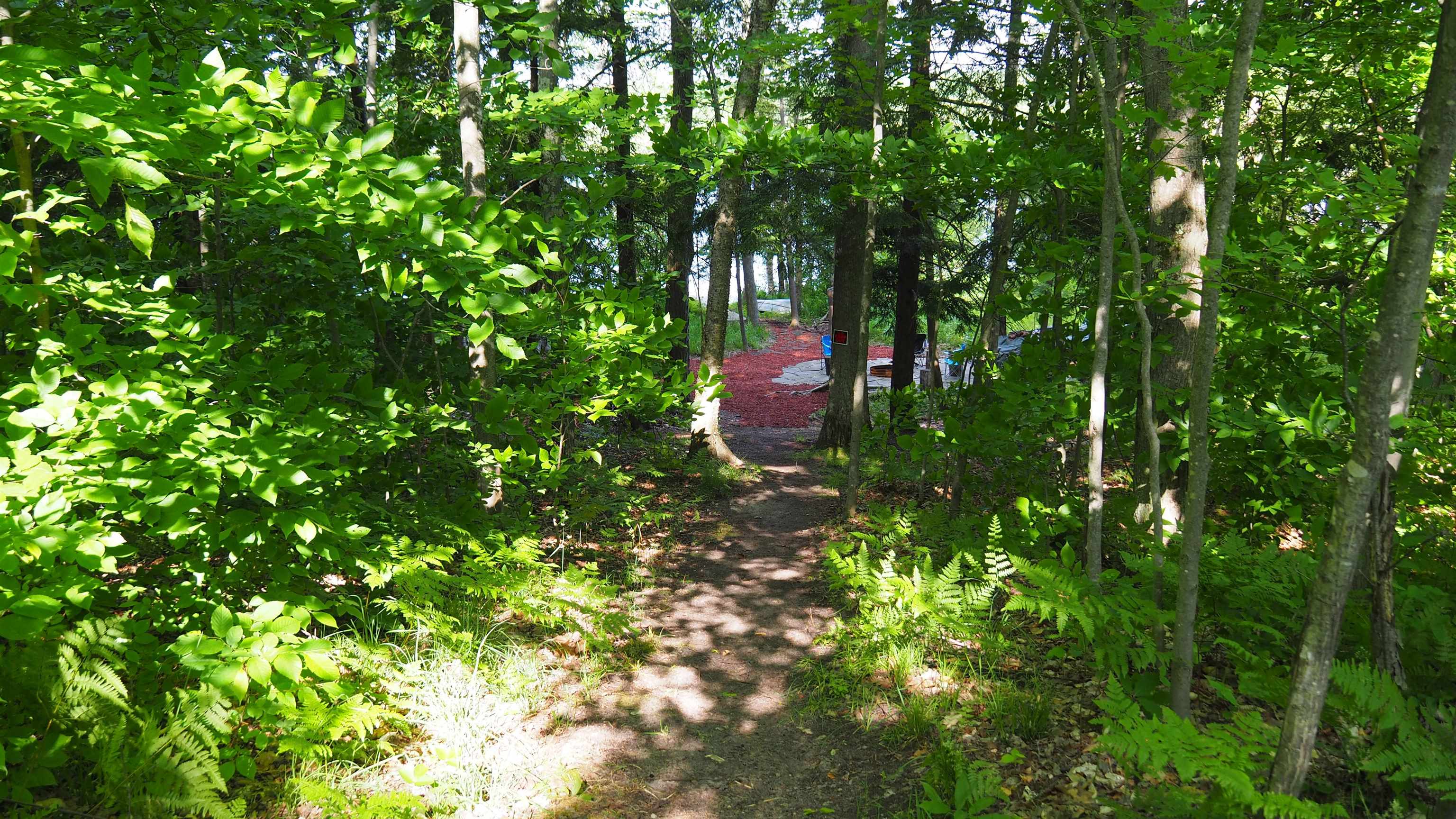 4025 Jeri Road Interlochen, MI 49643 - Photo 10 of 44