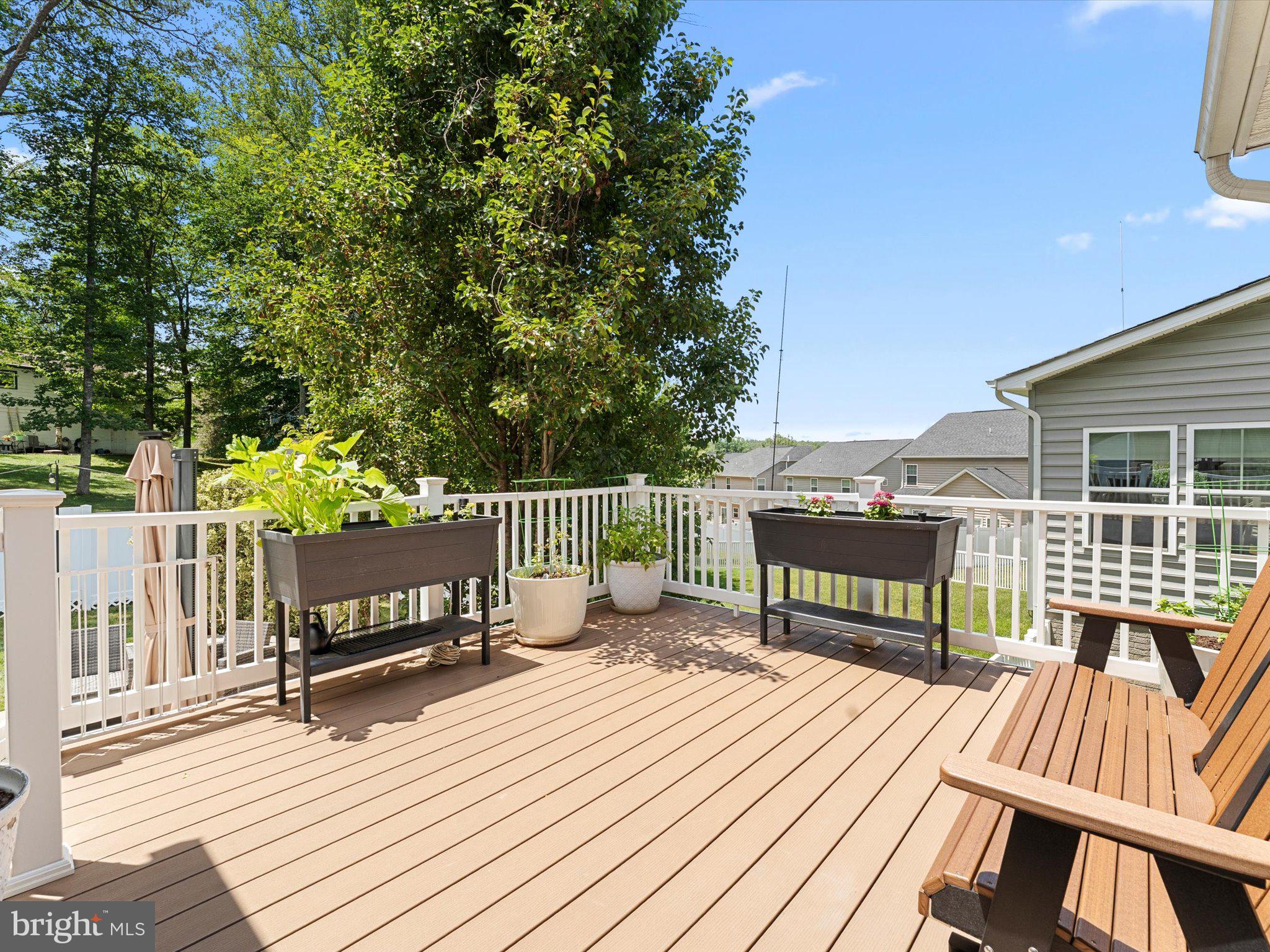 2381 Jersey Pine Ridge Charlottesville, VA 22911 - Photo 67 of 72 Serene deck with lush greenery views.