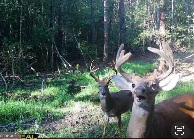 $44,720 | 3479 Bastonville Road, Gibson, GA 30810