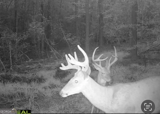 $44,720 | 3479 Bastonville Road, Gibson, GA 30810