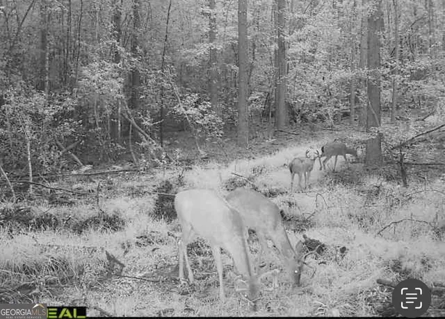 $44,720 | 3479 Bastonville Road, Gibson, GA 30810