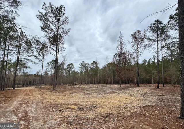 $44,720 | 3479 Bastonville Road, Gibson, GA 30810