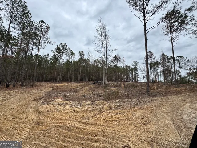 $44,720 | 3479 Bastonville Road, Gibson, GA 30810