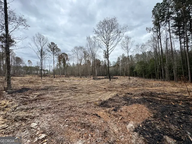 $44,720 | 3479 Bastonville Road, Gibson, GA 30810