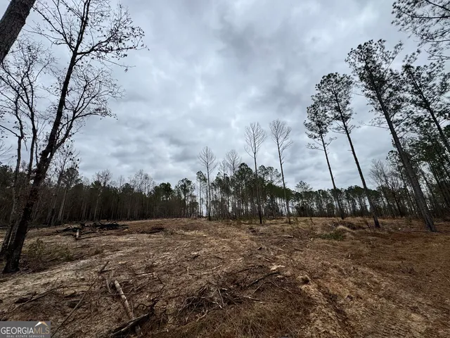 $44,720 | 3479 Bastonville Road, Gibson, GA 30810