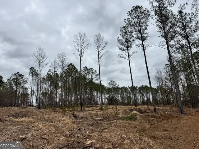 $44,720 | 3479 Bastonville Road, Gibson, GA 30810