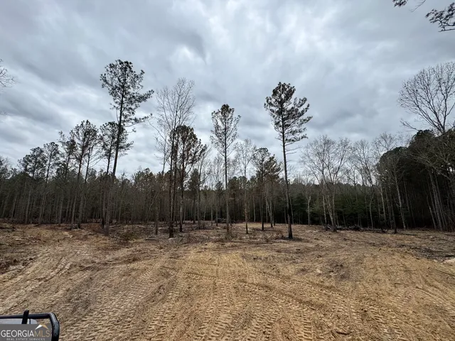 $44,720 | 3479 Bastonville Road, Gibson, GA 30810