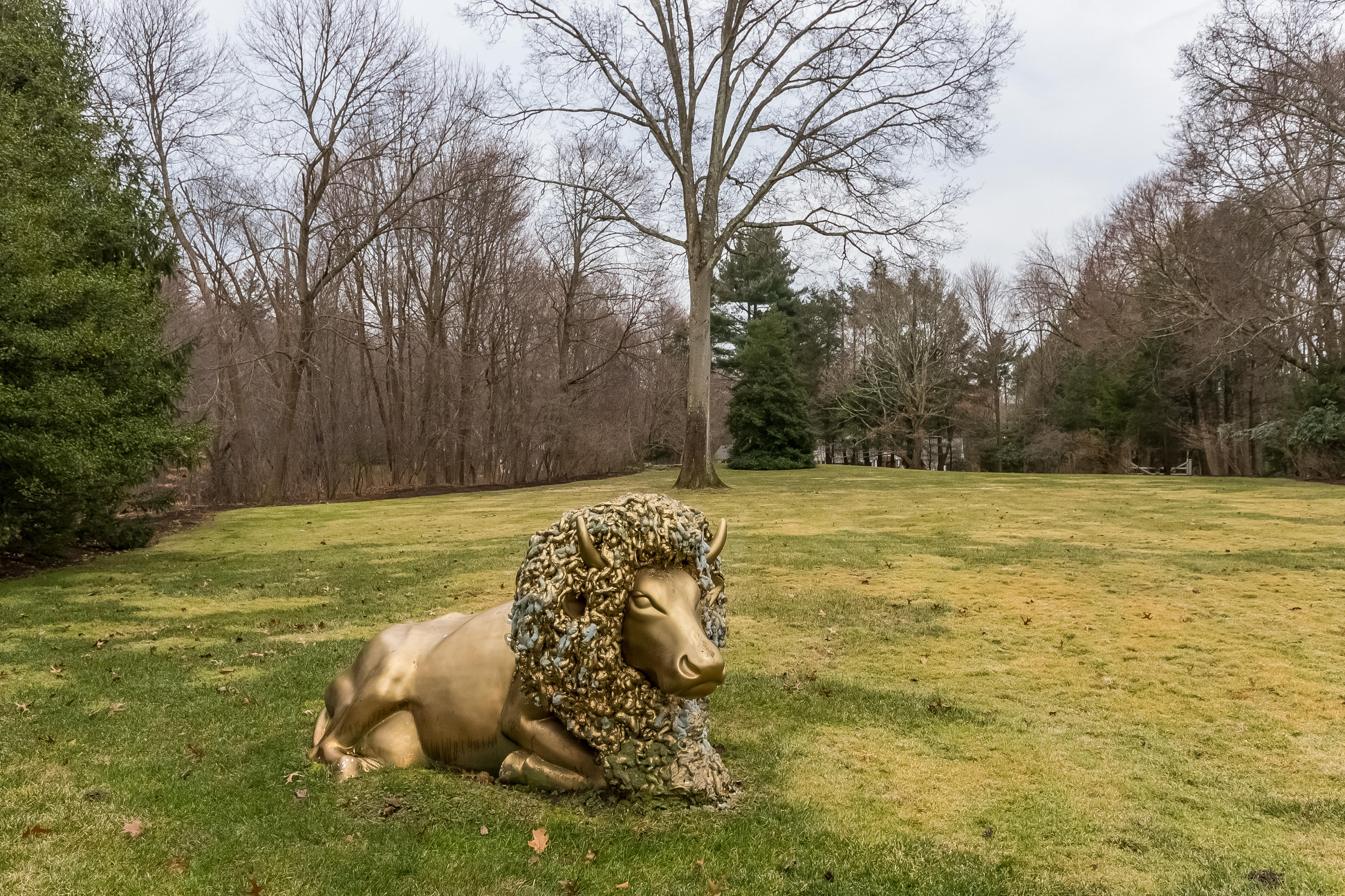 459 Middlesex Road Darien, CT 06820 - Photo 46 of 53 a view of a garden with basketball court