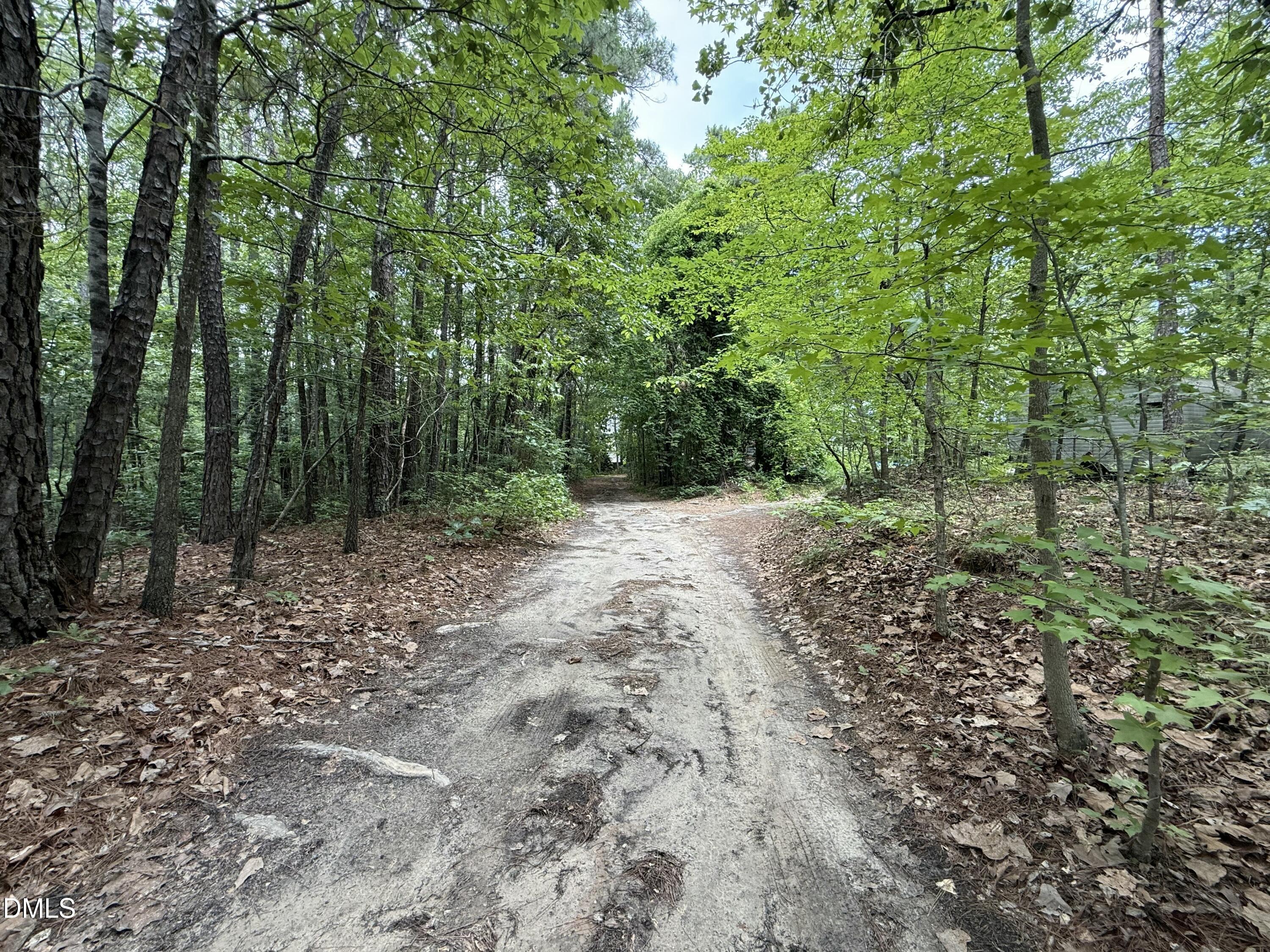 0 Elfman Drive Spring Lake, NC 28390 - Photo 30 of 40 a view of a forest with trees in the background