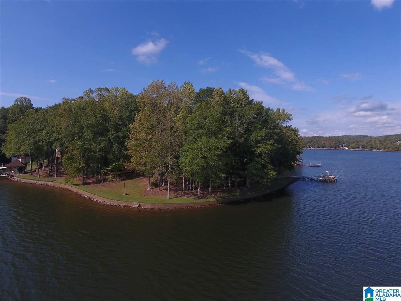 357 Florence Road Wedowee, AL 36278 - Photo 4 of 42