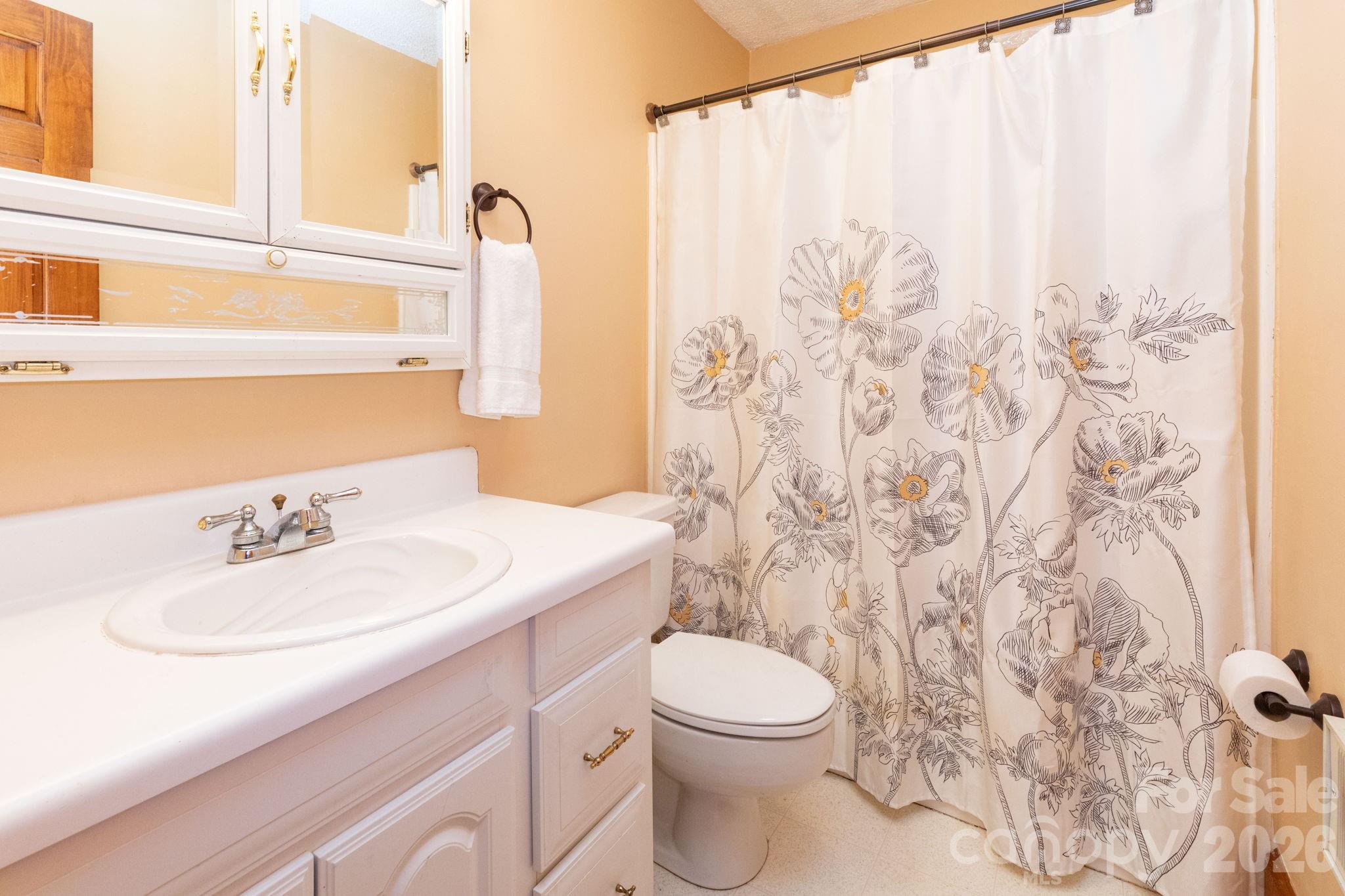 168 Blossom Ridge Leicester, NC 28748 - Photo 19 of 39