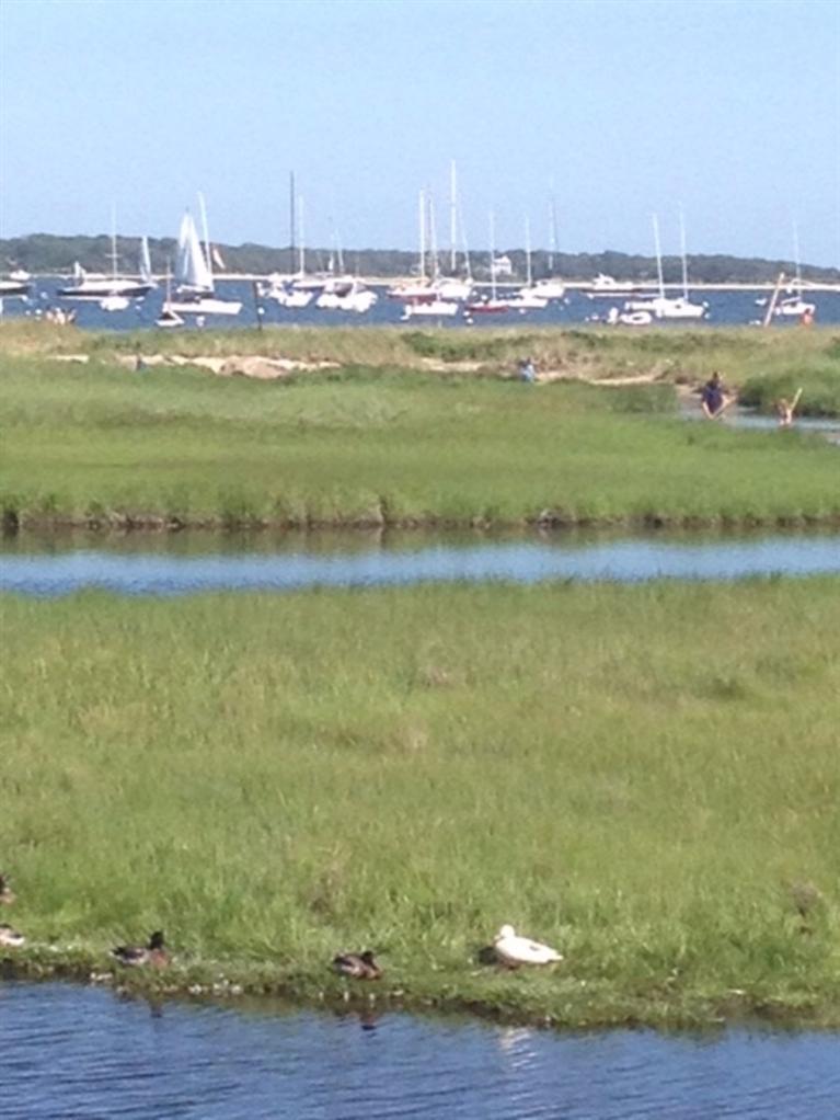11 Harbor Bluff Road Hyannis, MA 02601 - Photo 1 of 30 a view of an ocean
