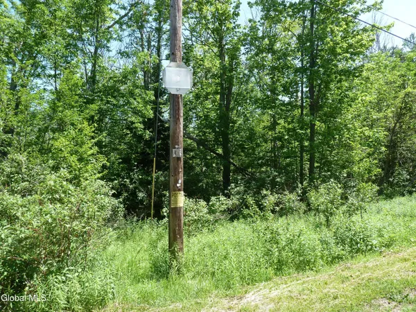 $199,000 | L14 Berry Lane, Hunter, NY 12442
